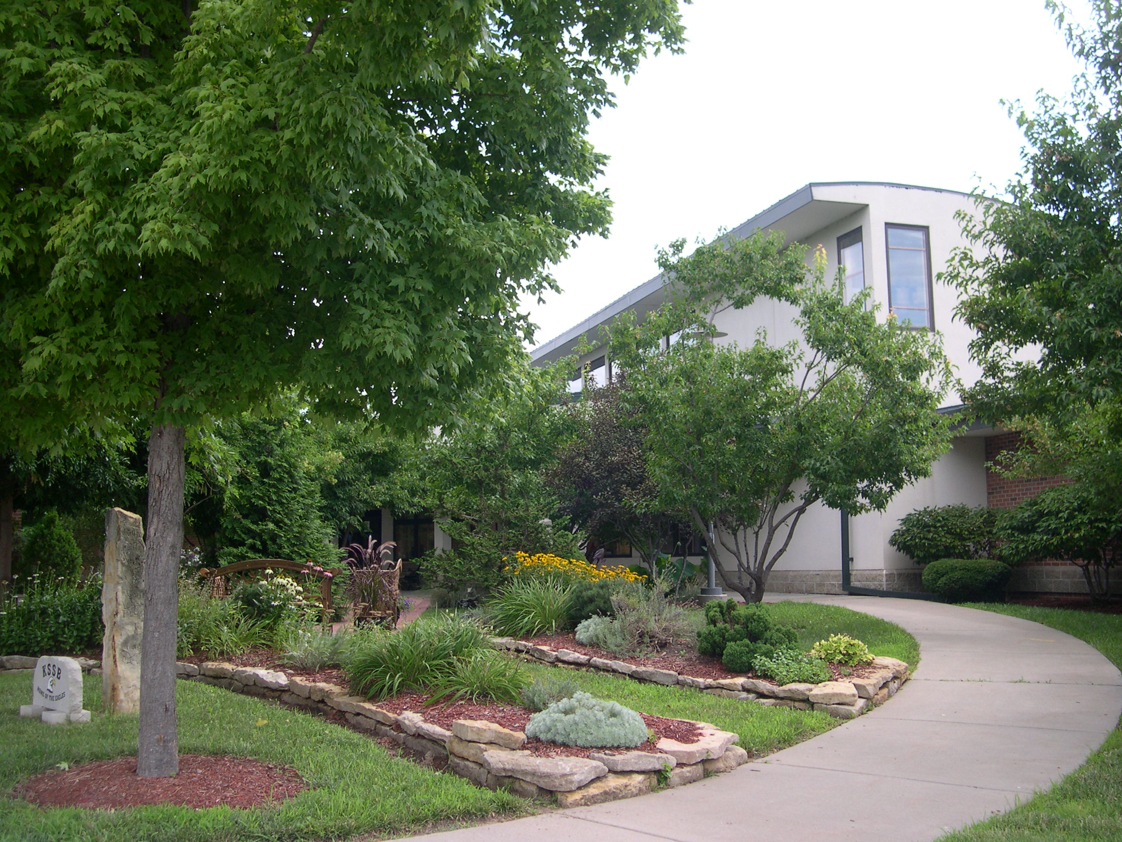 A garden of lush tree, shrubbery, rocks, plants and flowers along the path to the dorm.