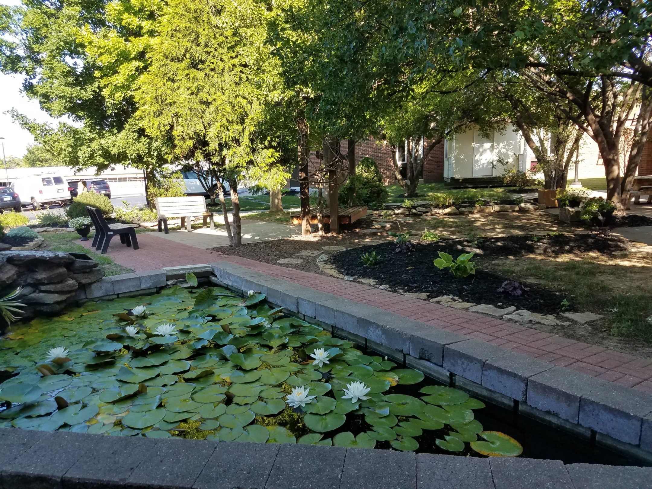 A triangular water pond created using red brick. The water is covered with green lily pads and a few white flowers in bloom. In the backgroudn trees giving shade to the grass, plants, benches and sidewalks.